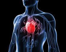 Heart